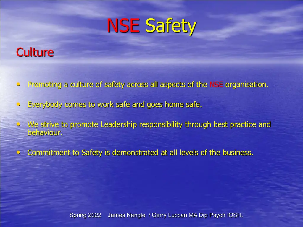 nse safety 6