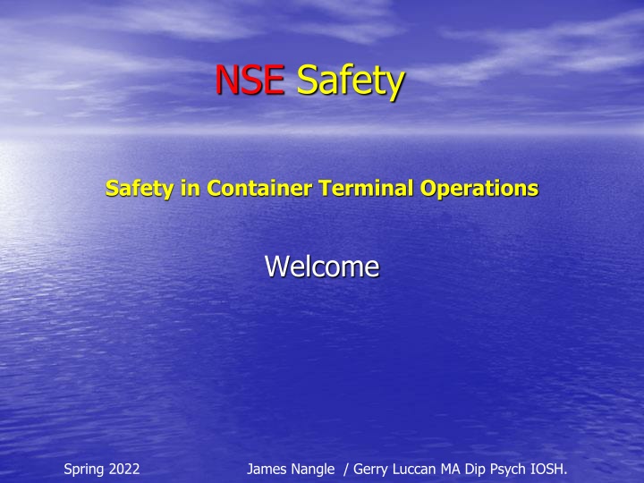 nse safety