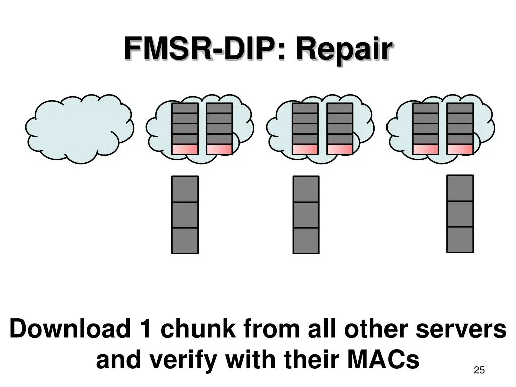 fmsr dip repair 1