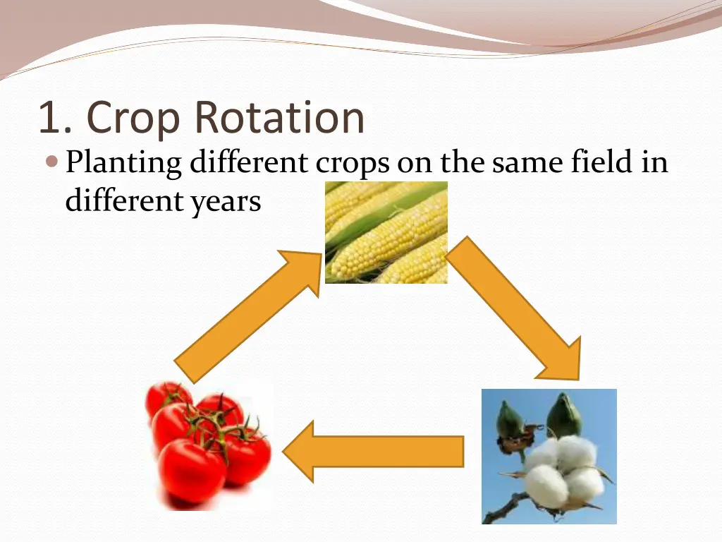 1 crop rotation planting different crops