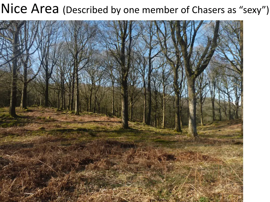 nice area described by one member of chasers