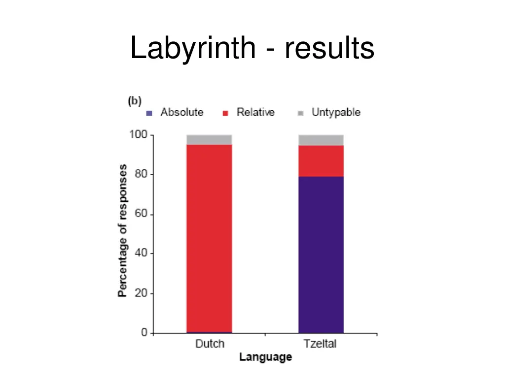 labyrinth results