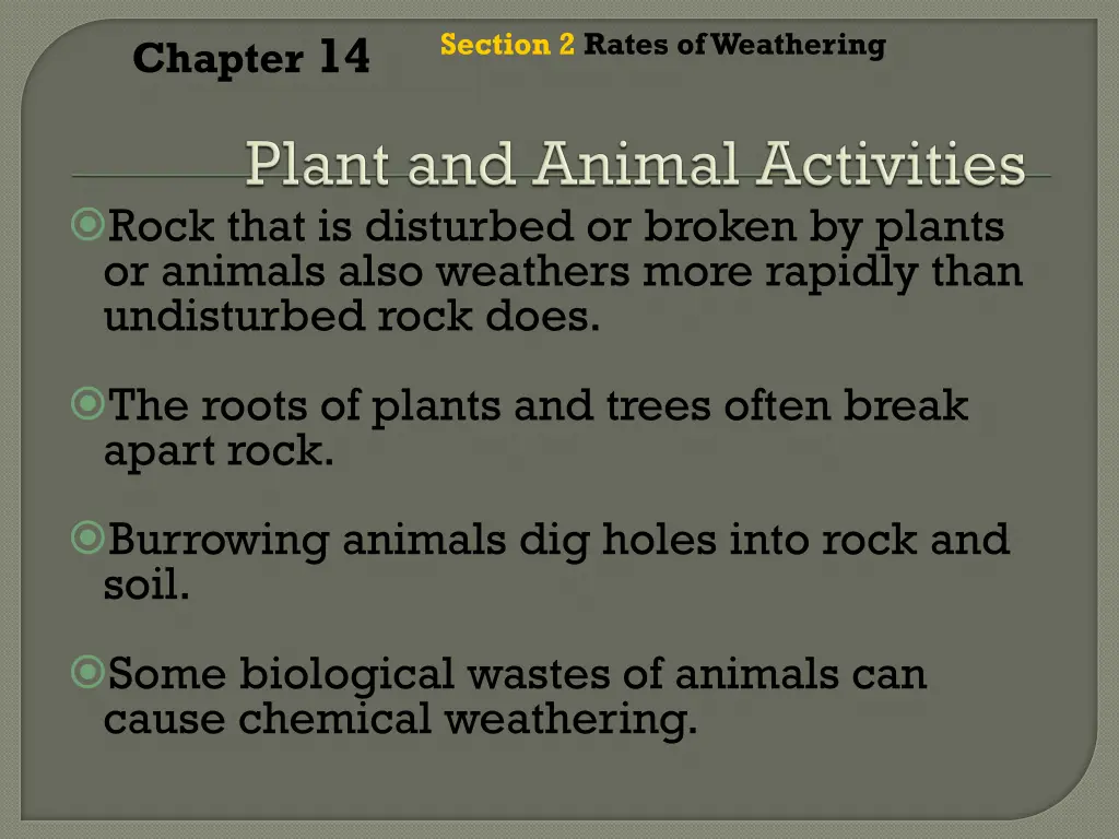 section 2 rates of weathering 8