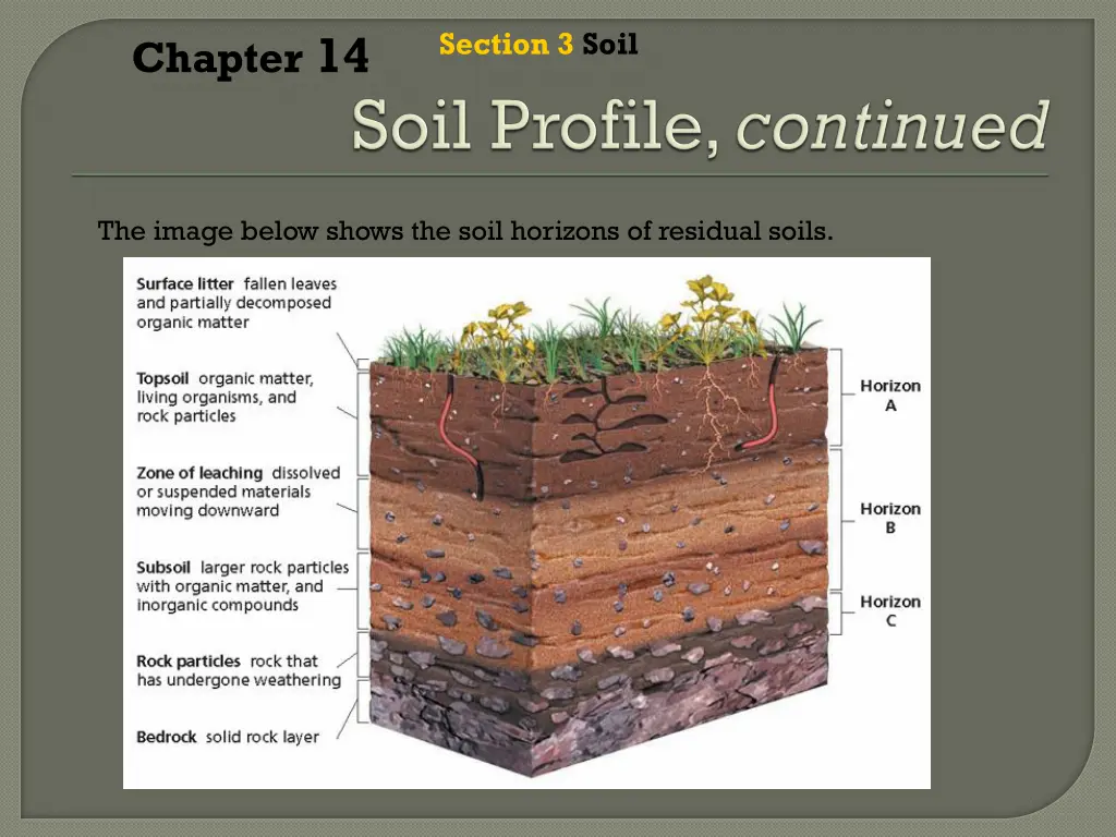 section 3 soil 5