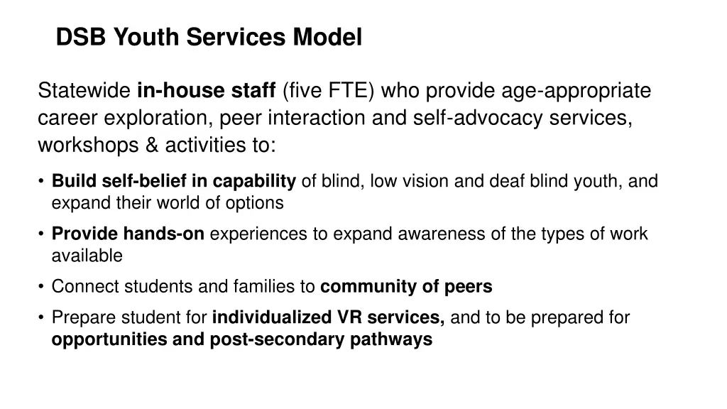 dsb youth services model