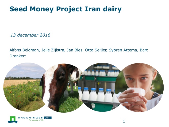 seed money project iran dairy