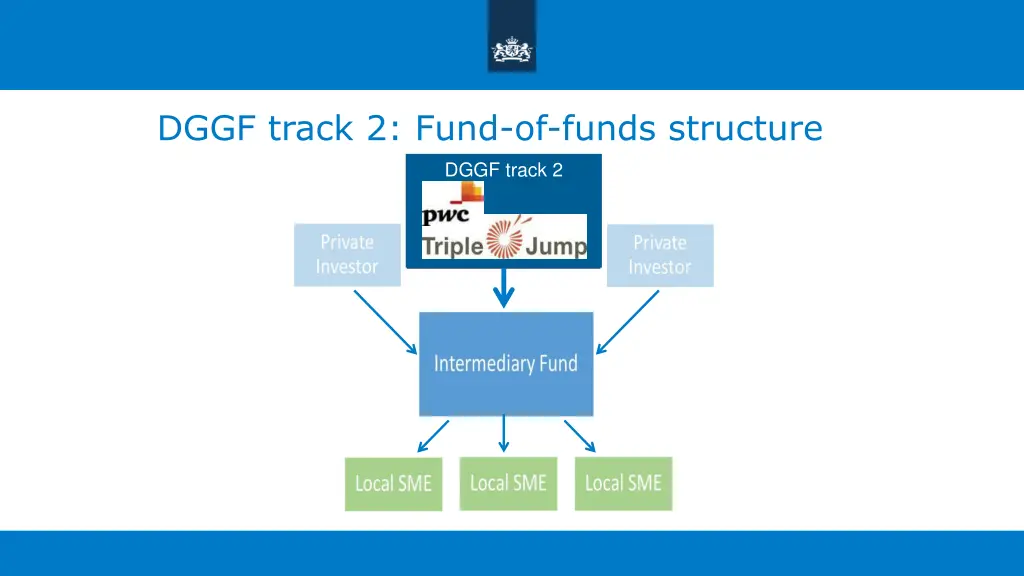 dggf track 2 fund of funds structure