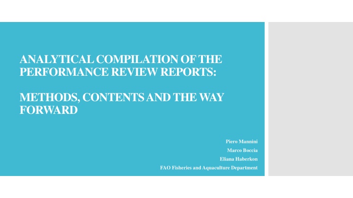 analytical compilation of the performance review