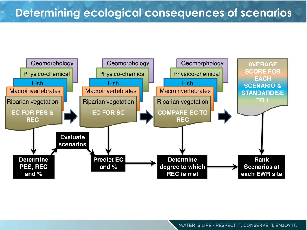 determining ecological consequences of scenarios 1