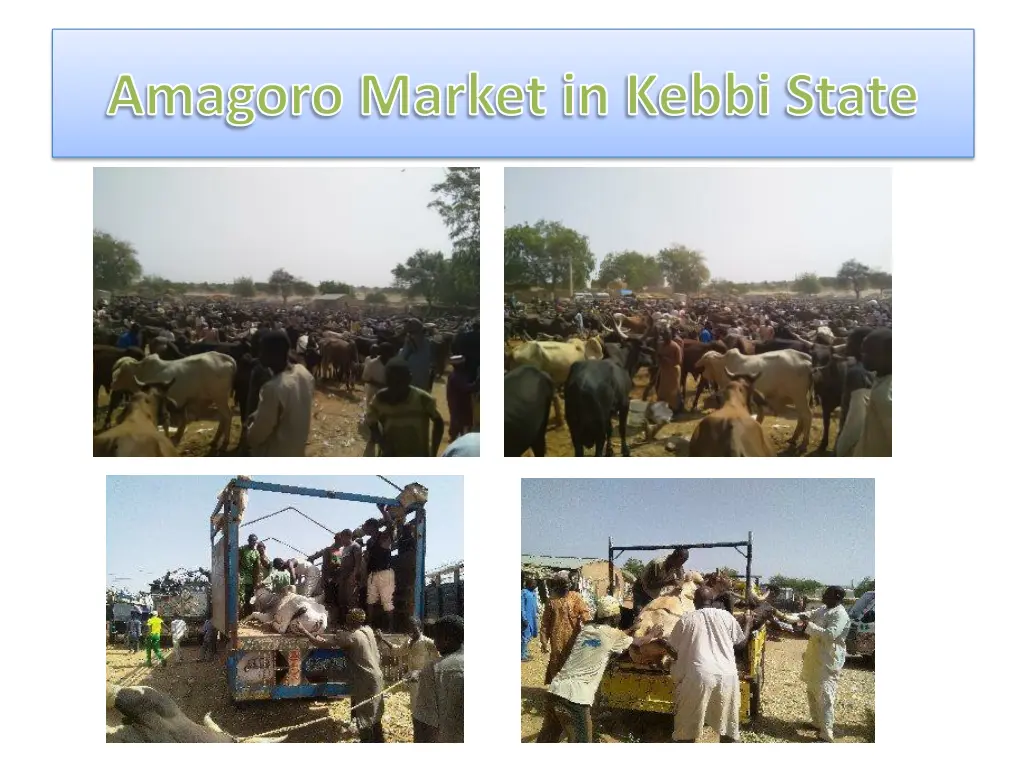 amagoro market in kebbi state