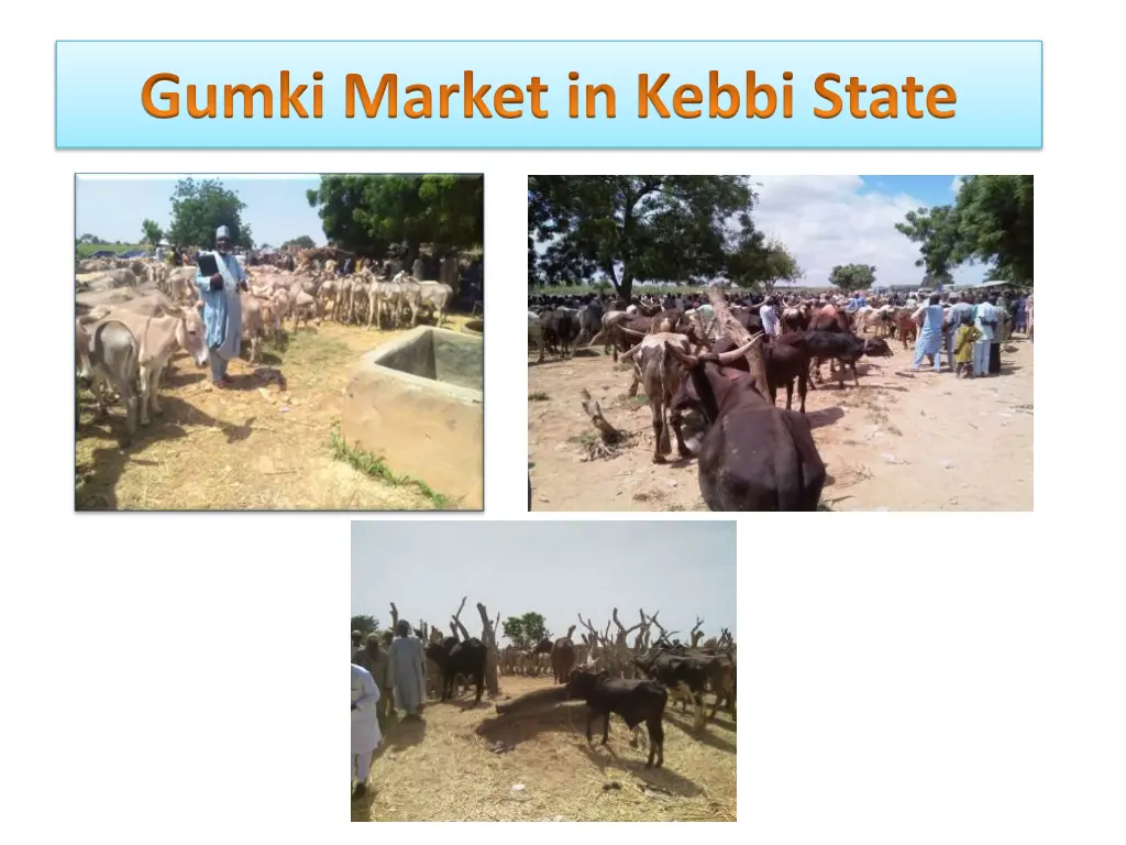 gumki market in kebbi state