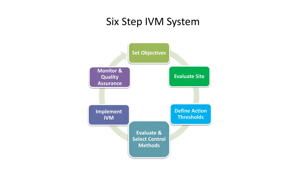 six step ivm system