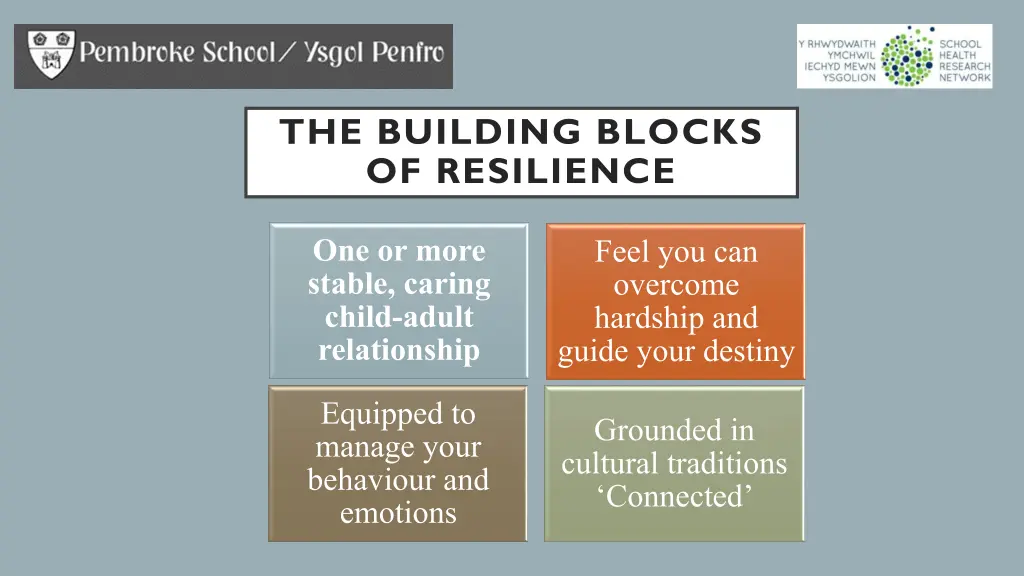 the building blocks of resilience