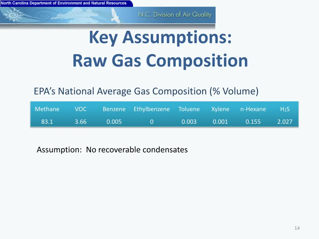 key assumptions raw gas composition