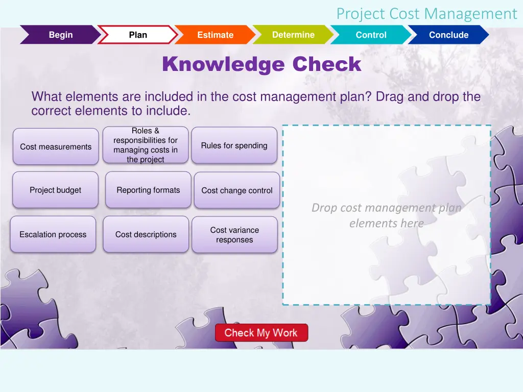 project cost management 17