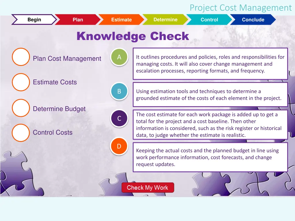 project cost management 9