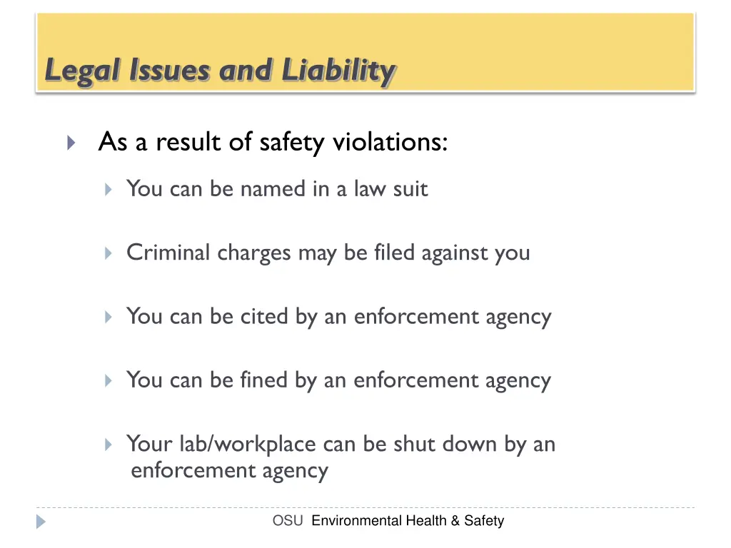 legal issues and liability