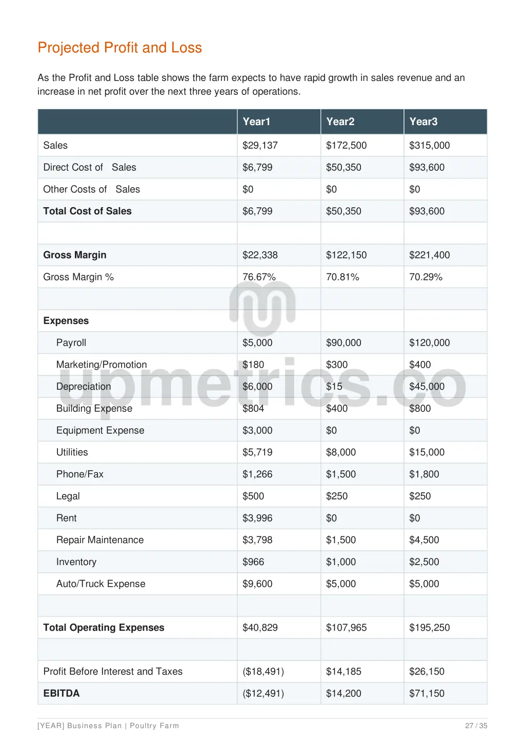 projected profit and loss