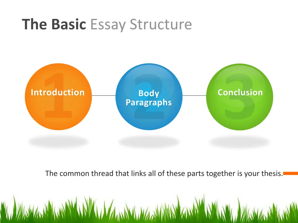 the basic essay structure