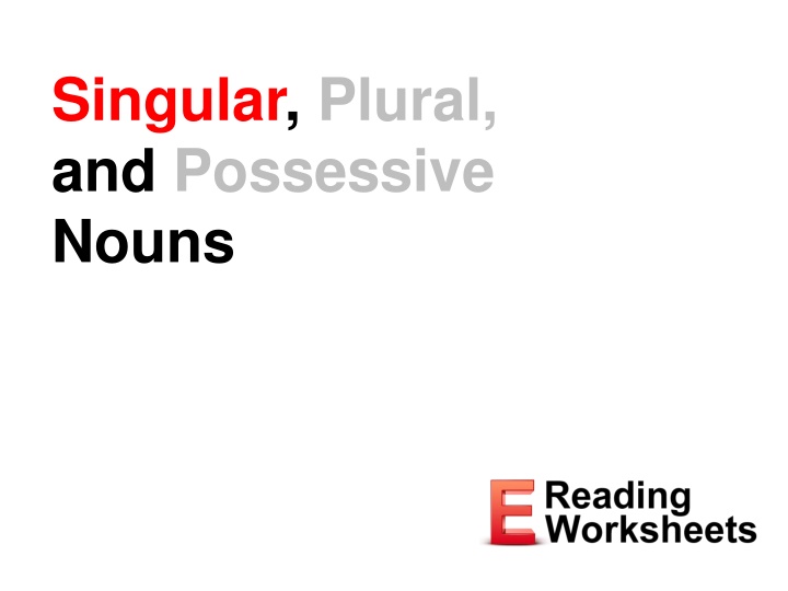 singular plural and possessive nouns