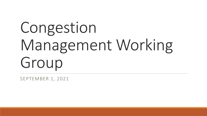 congestion management working group