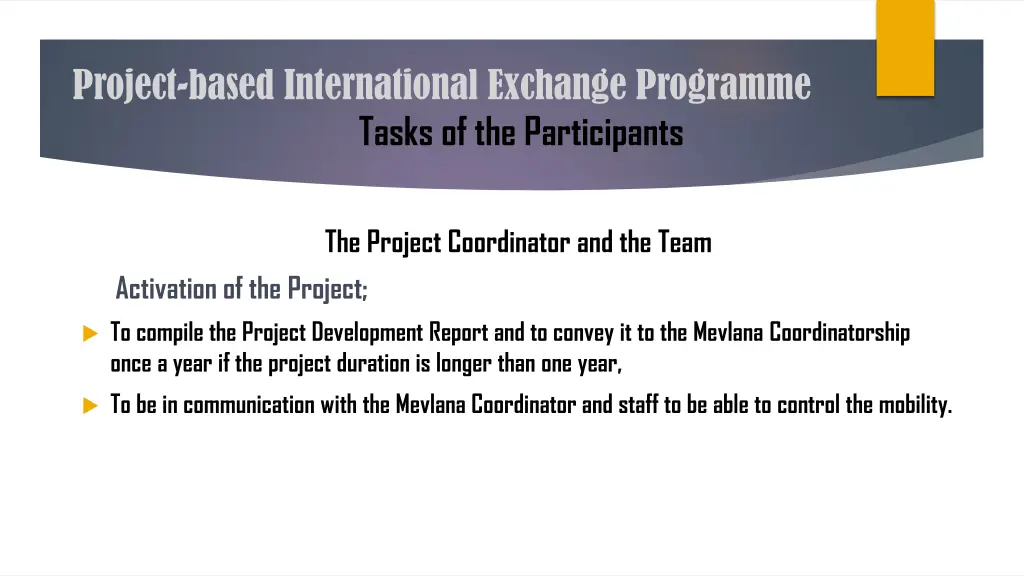 project based international exchange programme 10