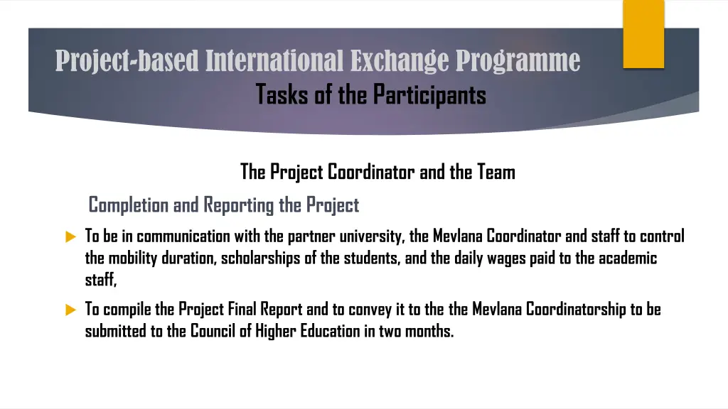 project based international exchange programme 11