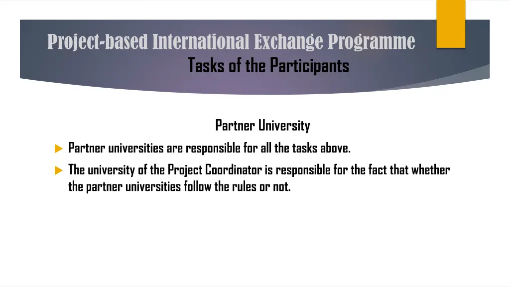 project based international exchange programme 13