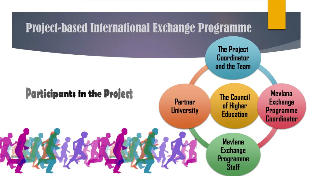 project based international exchange programme 8