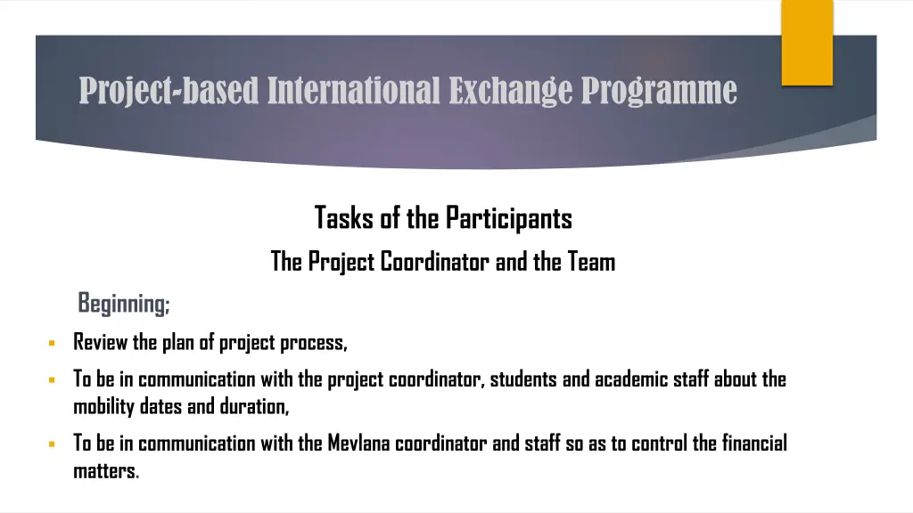 project based international exchange programme 9