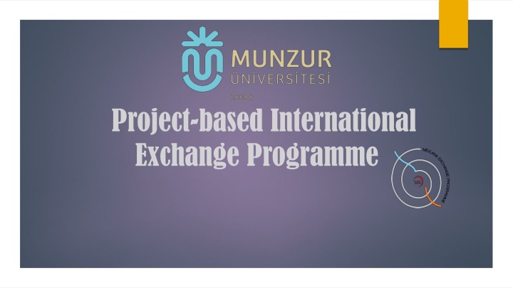 project based international exchange programme