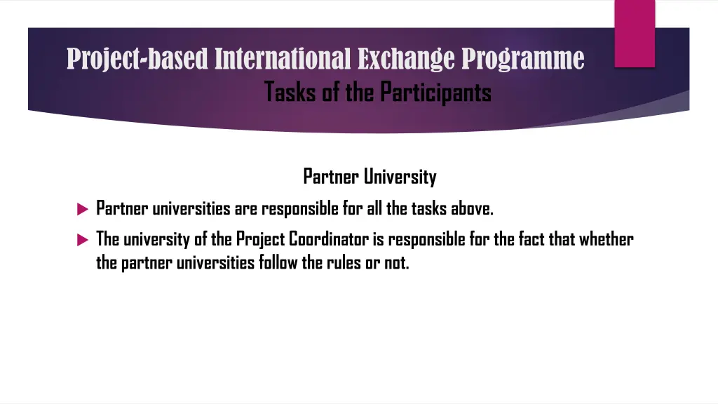 project based international exchange programme 13