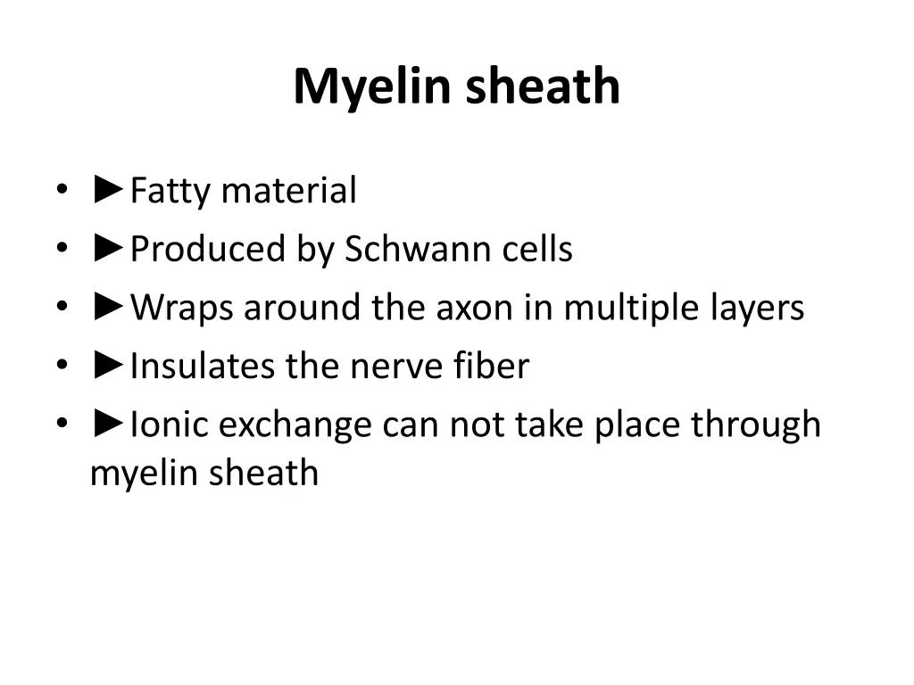 myelin sheath