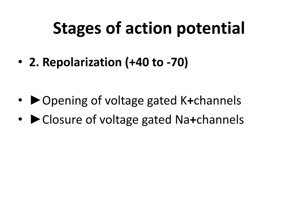 stages of action potential 1