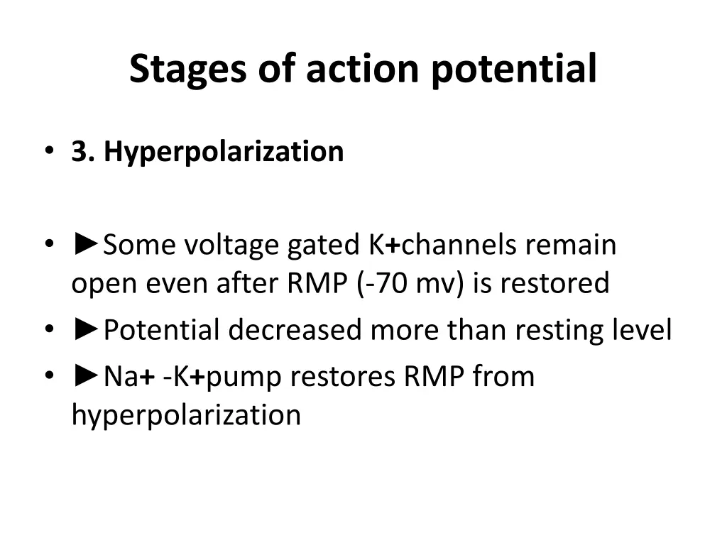 stages of action potential 2