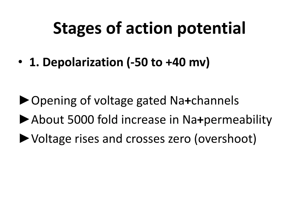 stages of action potential