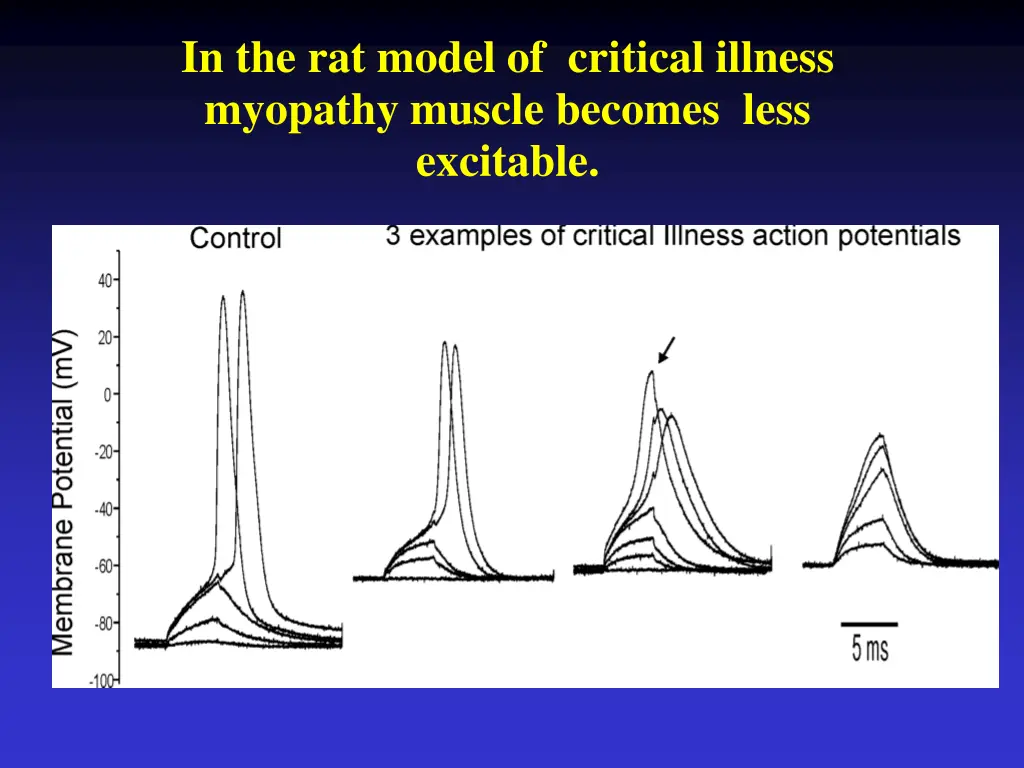 in the rat model of critical illness myopathy