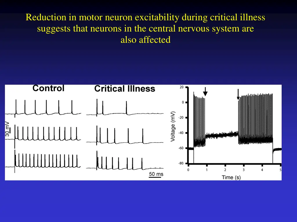 reduction in motor neuron excitability during