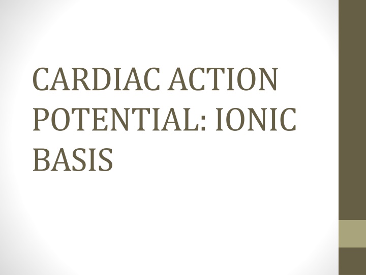 cardiac action potential ionic basis