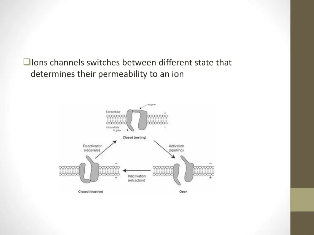 ions channels switches between different state