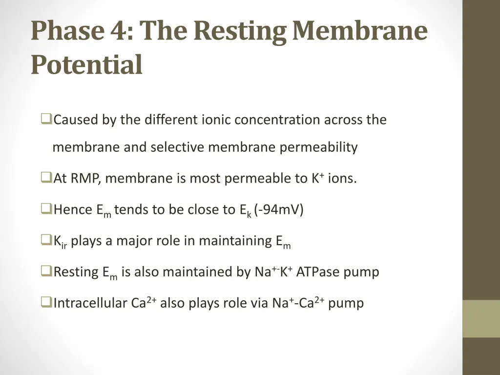 phase 4 the resting membrane potential