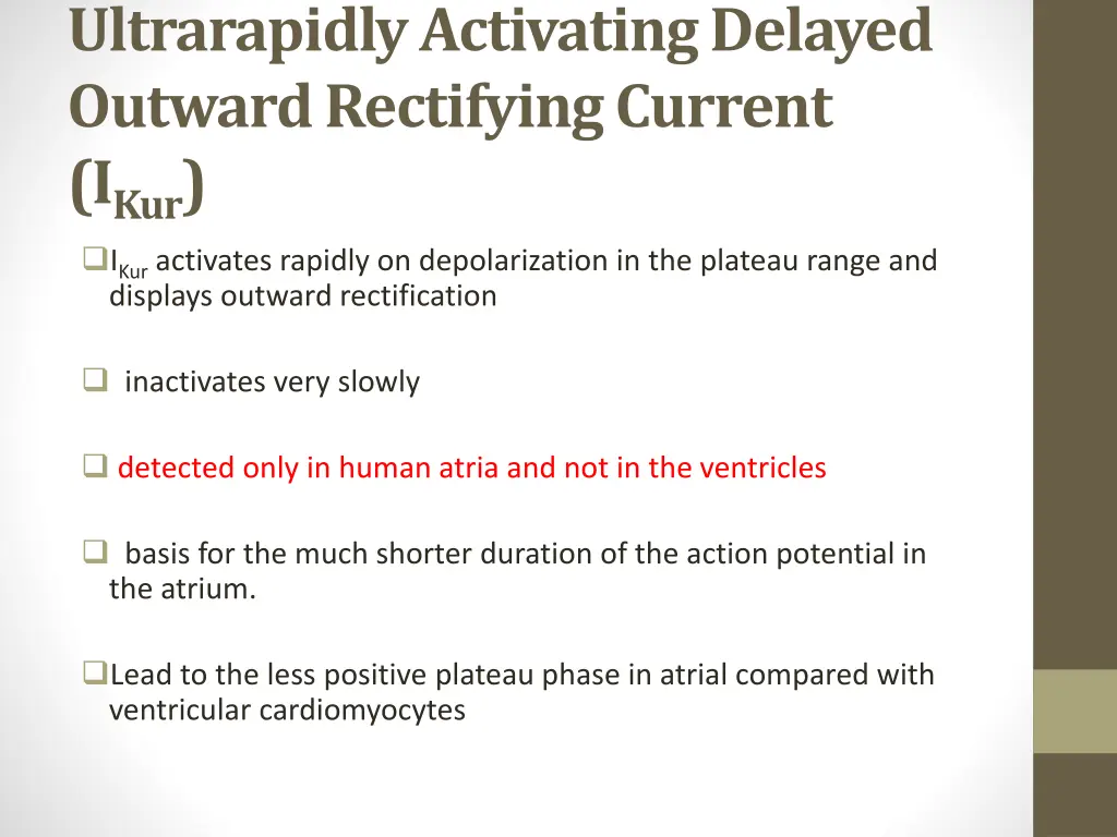 ultrarapidlyactivating delayed outward rectifying