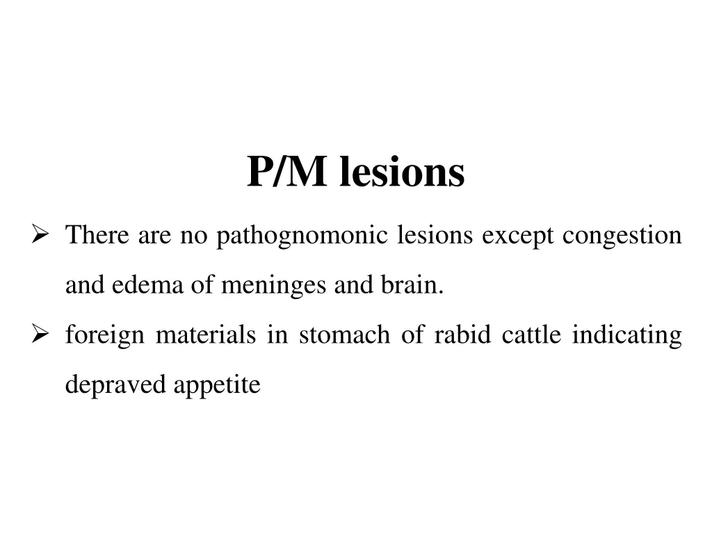 p m lesions