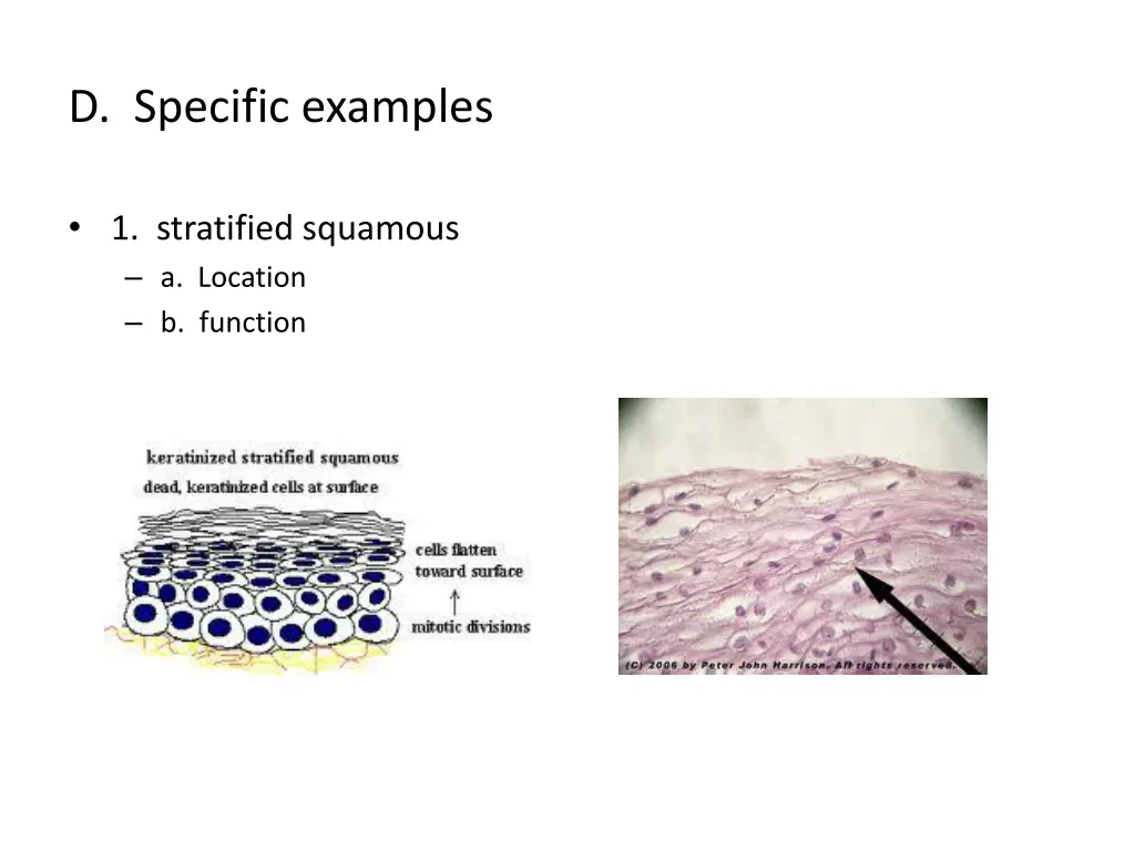 d specific examples