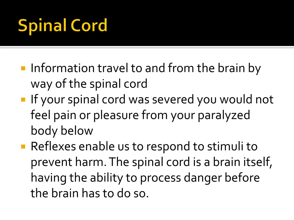 information travel to and from the brain