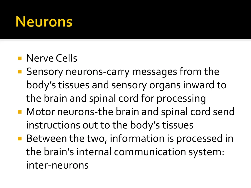 nerve cells sensory neurons carry messages from