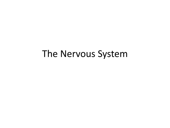 the nervous system