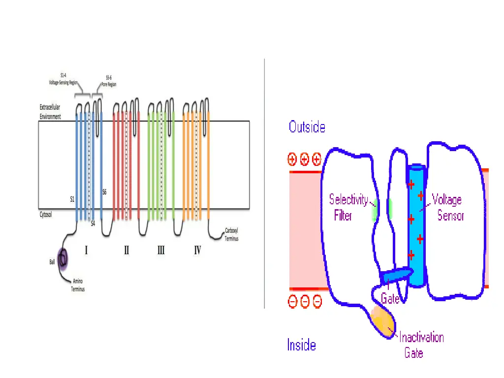 slide11