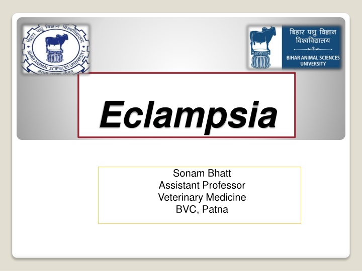 eclampsia