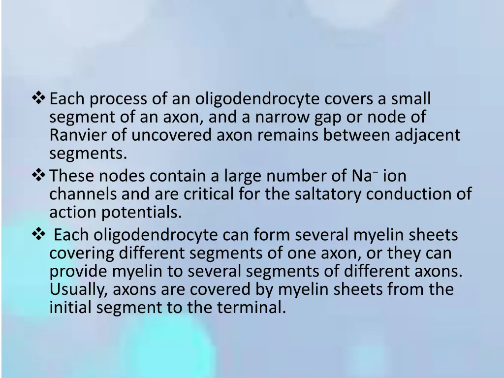 each process of an oligodendrocyte covers a small